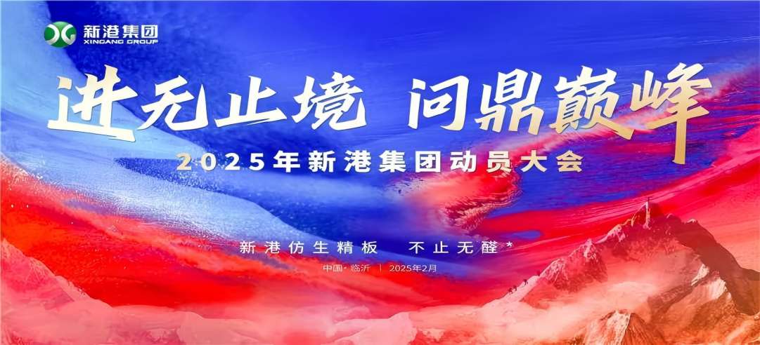 进无止境，问鼎巅峰！2025年新港集团动员大会成功召开！
